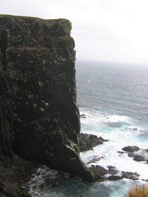 Steilküste am Westufer von Island