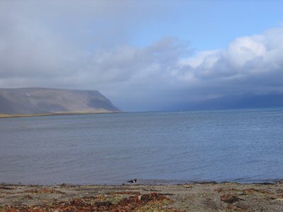 Westfjorde von Island