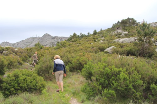 Insel Elba | Marciana Alta | Madonna del Monte