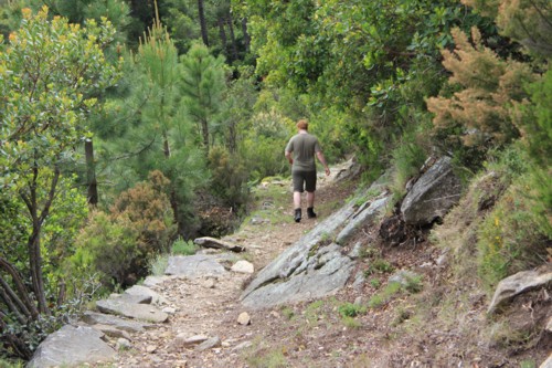 Insel Elba | Marciana Alta | Madonna del Monte