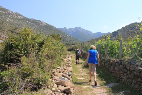 Elba | Pomonte | Colle della Grottaccia