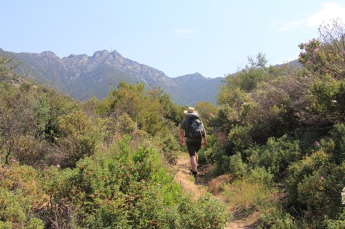 Elba | Pomonte | Colle della Grottaccia