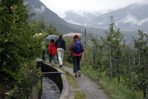 Auf dem Algunder Waalweg von Algund nach Meran