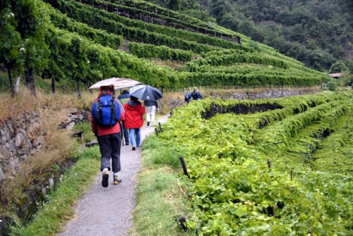 Auf dem Algunder Waalweg von Algund nach Meran