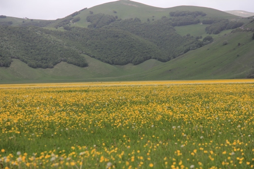 Forca di Presta | Monte Vettore | Monti Sibillini