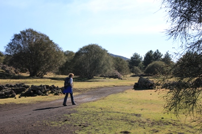 Wanderungen im Naturpark Etna - sdwestlicher Teil