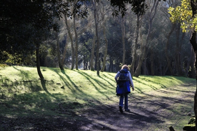 Wanderungen im Naturpark Etna - sdwestlicher Teil