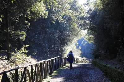 Wanderungen im Naturpark Etna - sdwestlicher Teil