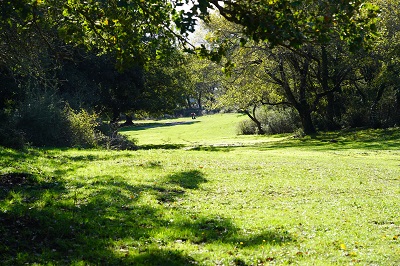 Parco delle Madonie