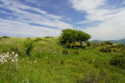 Parco delle Madonie | Pizzo Catarineci