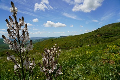 Parco delle Madonie | Pizzo Catarineci