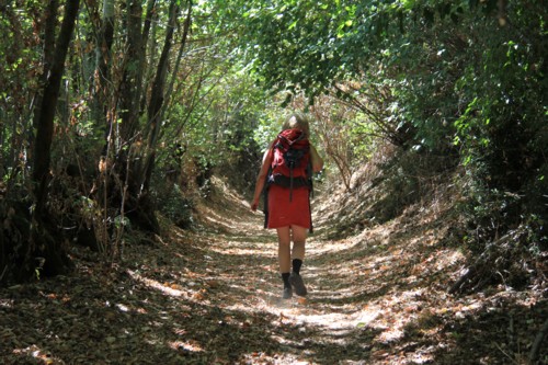 Wanderung von Orvieto zum Bolsenasee
