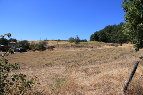 Wanderung von Orvieto zum Bolsenasee