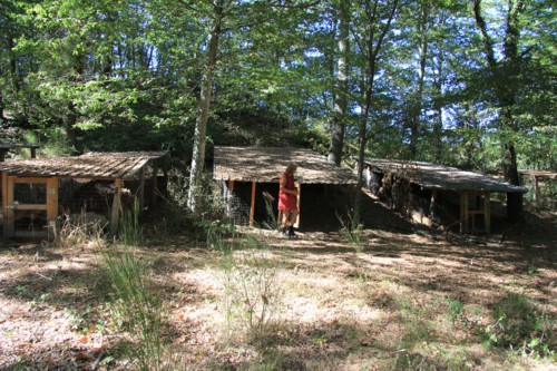 Wanderung von Orvieto zum Bolsenasee