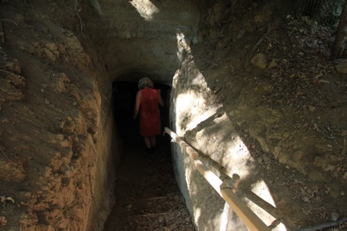 Wanderung von Orvieto zum Bolsenasee