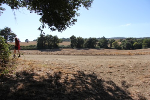 Wanderung von Orvieto zum Bolsenasee