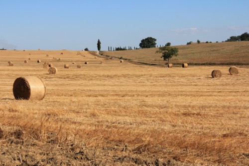 Wanderung von Orvieto zum Bolsenasee