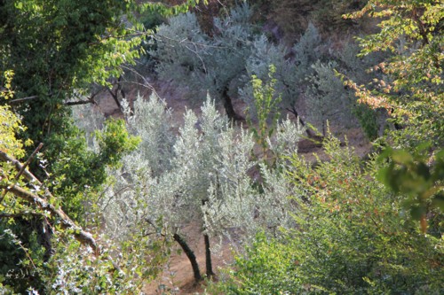Umbrien, Wanderung von Spello zum Ref. Spello