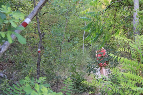 Umbrien, Wanderung von Spello zum Ref. Spello