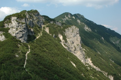 Bergrücken zwischen dem Stripsenkopf und dem Feldberg