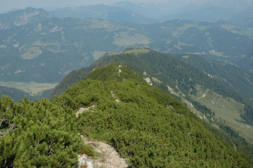 Abstieg auf dem Bergrücken vom Feldberg in östlicher Richtung