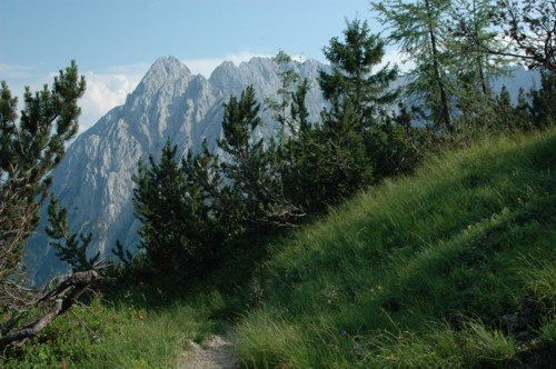 Abstieg vom Feldberg in östlicher Richtung mit Blick auf den Wilden Kaiser