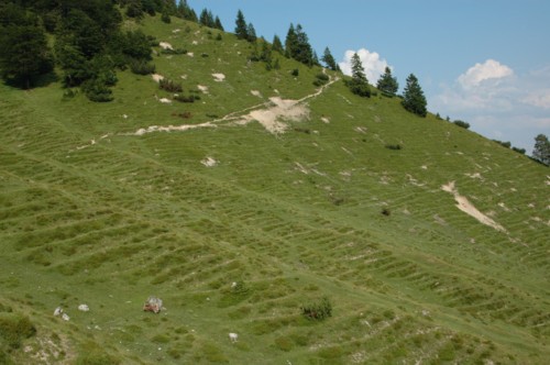 Abstieg zum Kaiserbachtal in südlicher Richtung etwa auf der Höhe der Fischbachalm
