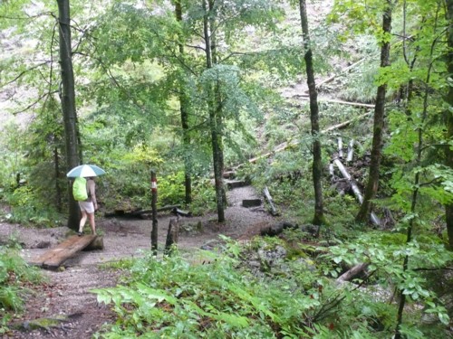 Kaisergebirge | Hinterbaerenbad | Bettlersteig | Gamskogel | Brentenjoch