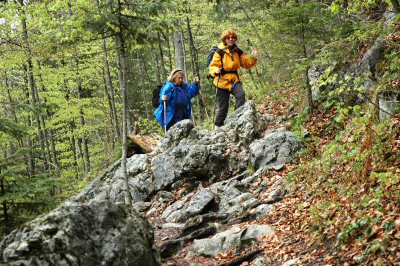Der R&uuml;ckweg von der Walleralm zum Hintersteiner See &uuml;ber steiniges Gel&auml;nde
