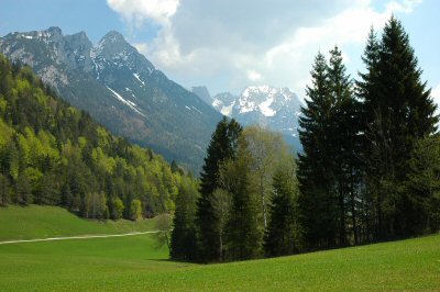 Blick auf den Wilden Kaiser und auf saftige Wiesen