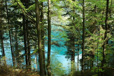 Blick auf den  Hintersteiner See vom Seeweg aus gesehen