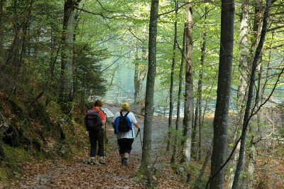 Der idyllische Seeweg um den Hintersteiner See