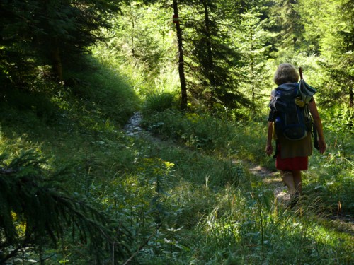 Abstieg von der Vorderkaiserfeldenhütte (1388 m) nach Hinterbärenbad (829 m)