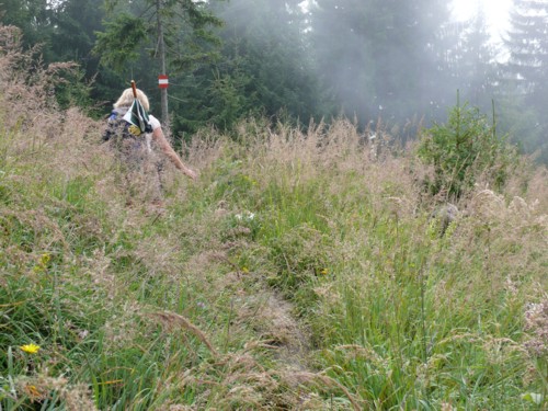 Abstieg von der Vorderkaiserfeldenhütte (1388 m) nach Hinterbärenbad (829 m)