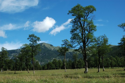 Blick nach Norden vom Großen Ahornboden aus