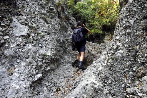 Through the stream bei Beli auf der Insel Cres in Kroatien