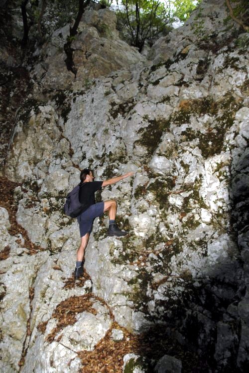 Through the stream bei Beli auf der Insel Cres in Kroatien