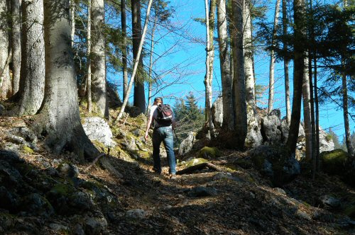 Von Lofer über Bräugföllalm zum Alpengasthof Schönblick