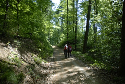 Markgräflerland | Kandern | Ruine Sausenburg | Schloss Bürgeln