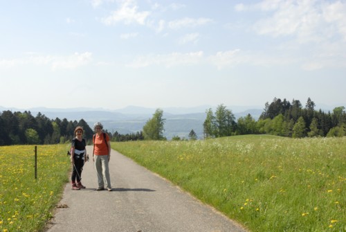 Markgräflerland | Bad Säckingen | Solfelsen