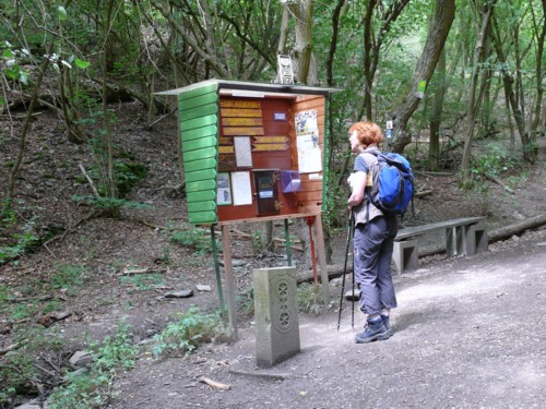 Rheinsteig von Kaub nach Lorchhausen. Hier: Grenze von Rheinland-Pfalz zu Hessen