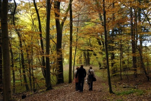 Forstenrieder Park | Wrm | Gauting | Herbstwanderung