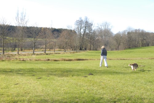 Ilkahhe | Ammersee | Fnfseenland | Starnberger See