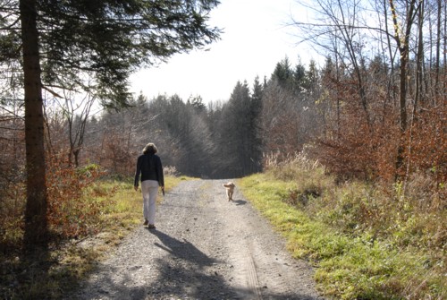 Ilkahhe | Ammersee | Fnfseenland | Starnberger See