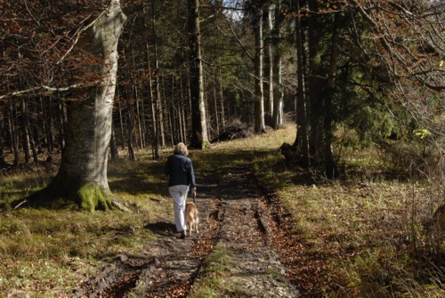 Ilkahhe | Ammersee | Fnfseenland | Starnberger See