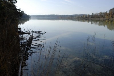 Mnchner Wandergebiete | Osterseen | Rundwanderung