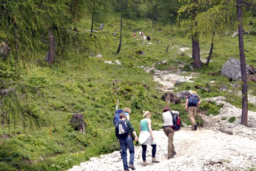 Dachstein | Pongau | Filzmoos | Oberhofalm | Rinderfeld | Sulzenhals | Madlinghofalm | Dachsteingruppe