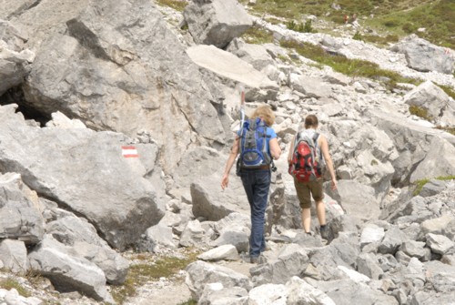 Dachstein | Pongau | Filzmoos | Oberhofalm | Rinderfeld | Sulzenhals | Madlinghofalm | Dachsteingruppe