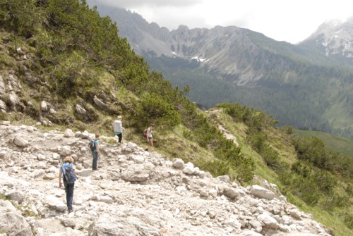 Dachstein | Pongau | Filzmoos | Oberhofalm | Rinderfeld | Sulzenhals | Madlinghofalm | Dachsteingruppe