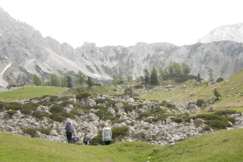Dachstein | Pongau | Filzmoos | Oberhofalm | Rinderfeld | Sulzenhals | Madlinghofalm | Dachsteingruppe